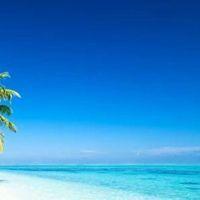 风景头像图片大全2022 2022风景头像图片唯美 20张