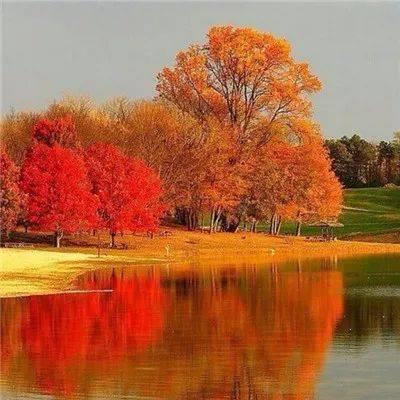 微信头像风水图片招财带来好运 微信招财头像图片大全转运聚财 20张