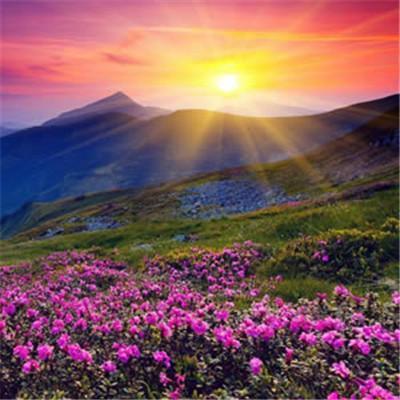 好风水微信头像旺财 微信头像运气好旺财图片 20张