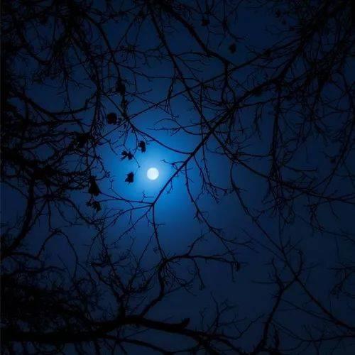 男人微信头像成熟稳重 微信男人头像图片成熟稳重 20张