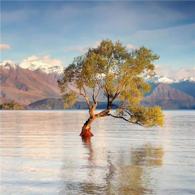 2022男士招财转运微信头像 2022招财好运气的微信头像图片聚财 20张