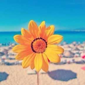 阳光积极的微信头像 充满阳光积极的微信头像图片大全 20张