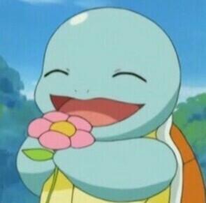 杰尼龟情侣头像 神奇宝贝的杰尼龟的情侣头像 20张