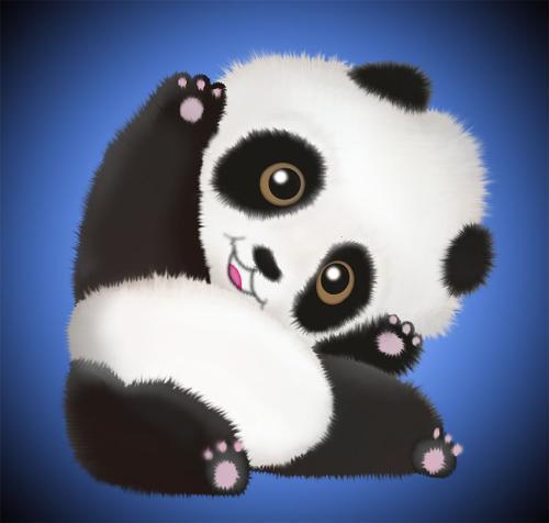 熊猫图片头像 熊猫图片头像图片霸气又可爱 15张