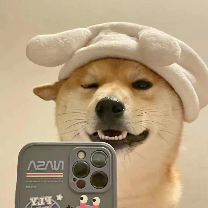 qq群头像图片大全可爱 qq群头像图片大全图片女生 20张