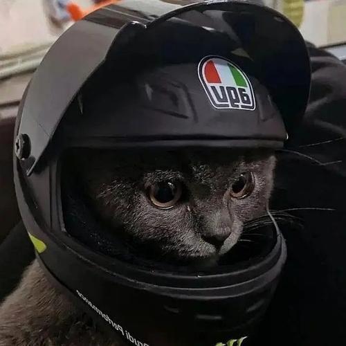 摩托车头盔头像帅气 摩托车头盔头像图片大全 20张