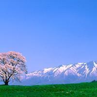 用风景做头像 用风景做头像的图片 20张