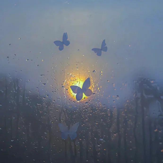 2023仙气十足的蝴蝶头像|唯美梦幻ins风蝴蝶背景图 9张