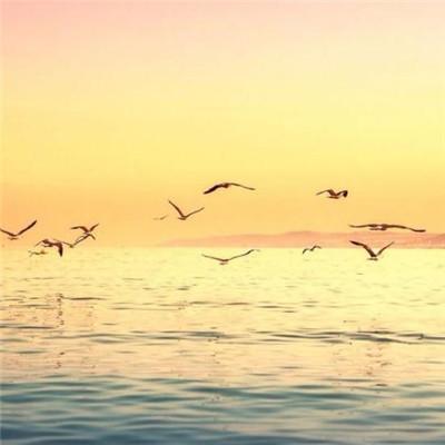 好运头像男带来好运 好运头像男带来好运吉祥 20张