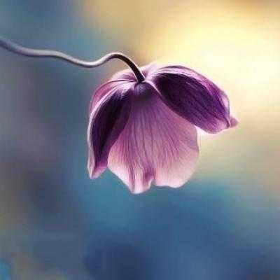 适合40岁女人微信头像 适合40岁女人微信头像图片 20张