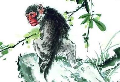 属猴的好运背景图 2023属猴发财好运头像 6张