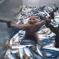 2人基友头像沙雕智障 4人沙雕头像基友4人头像 20张