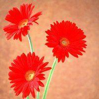 微信头像景物 微信头像景物图片大全 20张