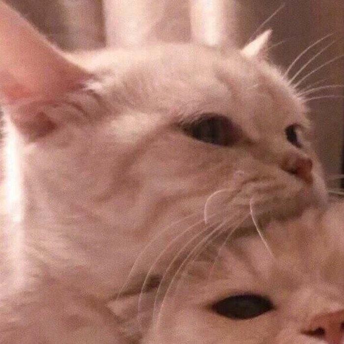 搞笑逗比情侣头像 搞笑情侣头像图片逗比 20张